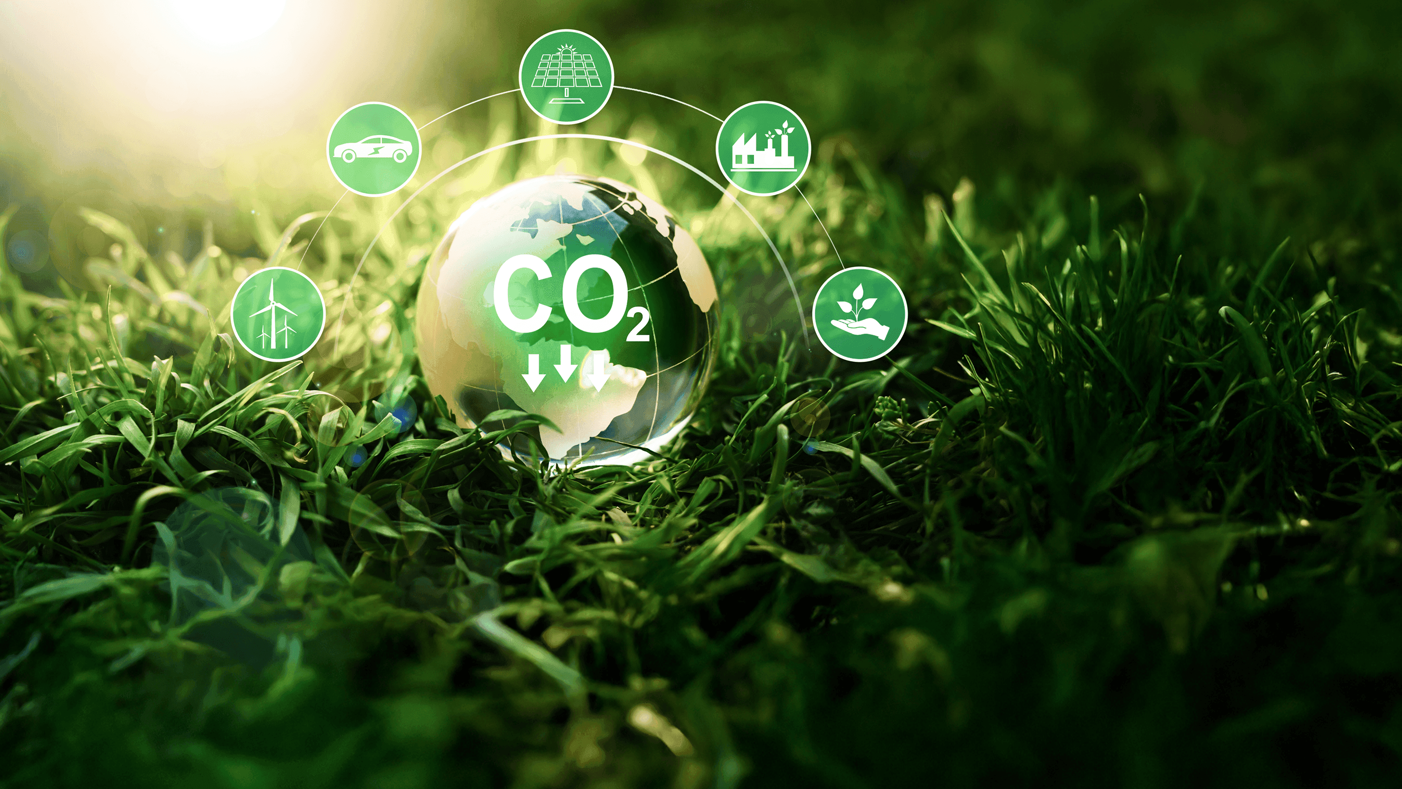 CO2 Banner